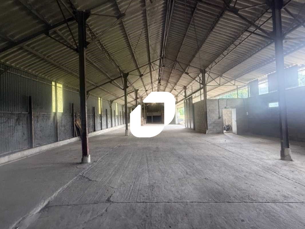 Immprove est ravi de mettre à votre disposition s