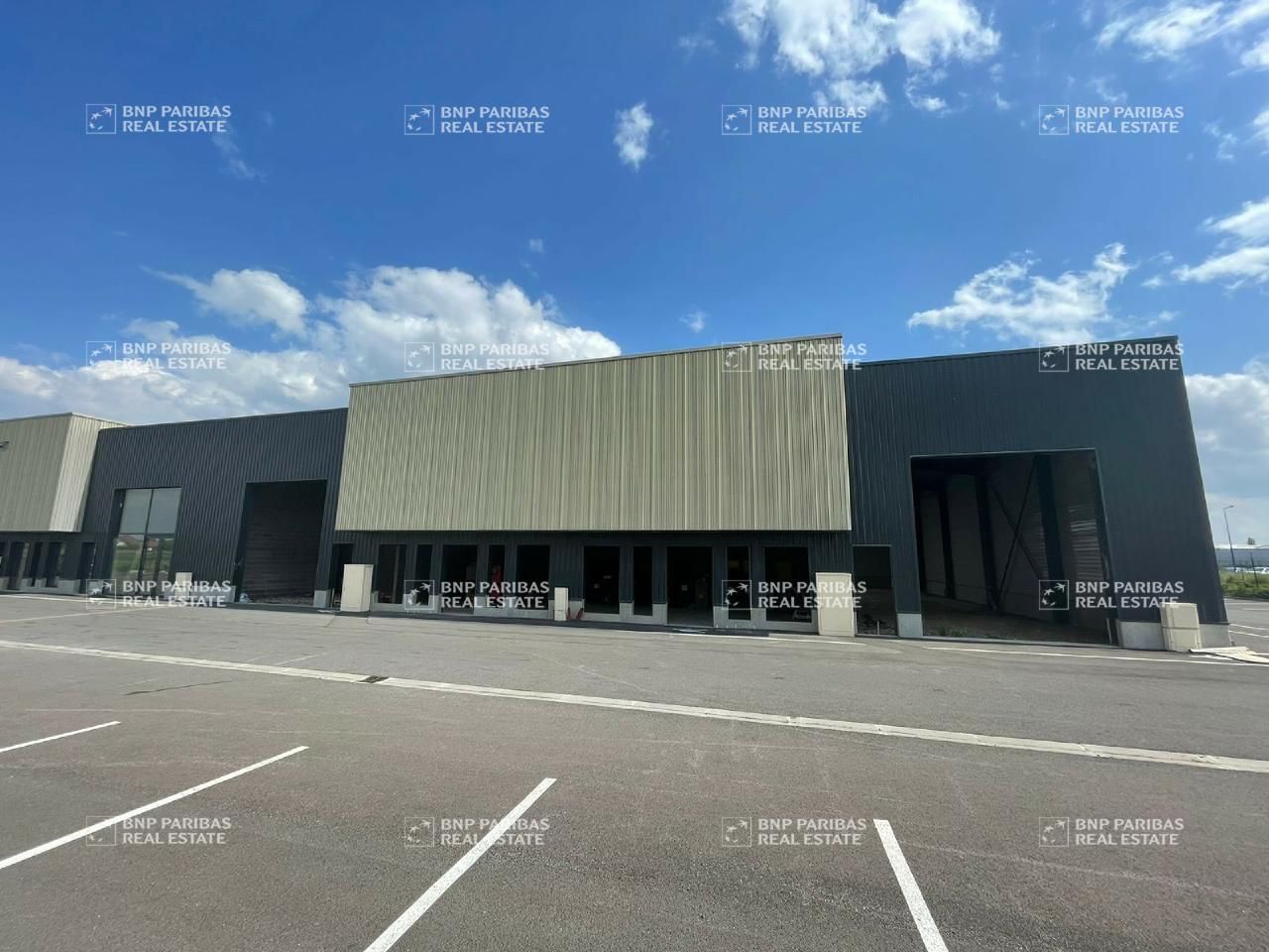 Vente activité à Annoeullin 59112