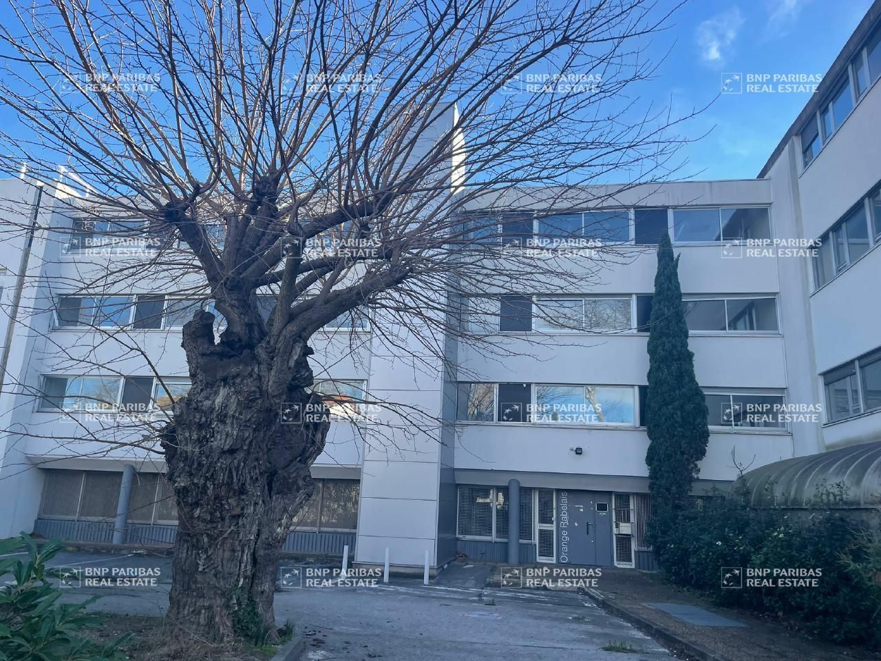 3124.98 m² pour ce bureaux en vente à Montpellier