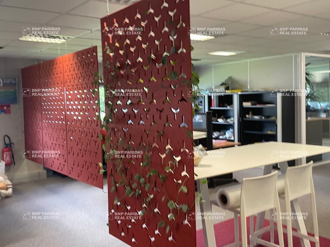 Location Bureaux 850 m² non divisibles 38240 Meylan