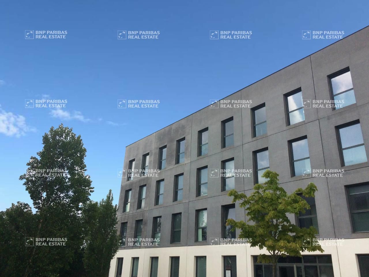 51.9 m² pour ce bureaux en location à Saint-jacques-de-la-lande