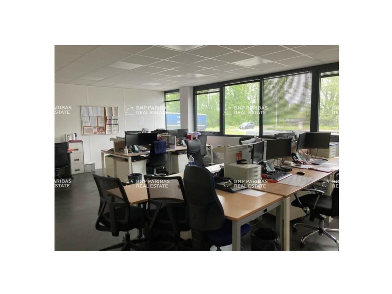 Vente Activité 5021 m² non divisibles 33520 Bruges