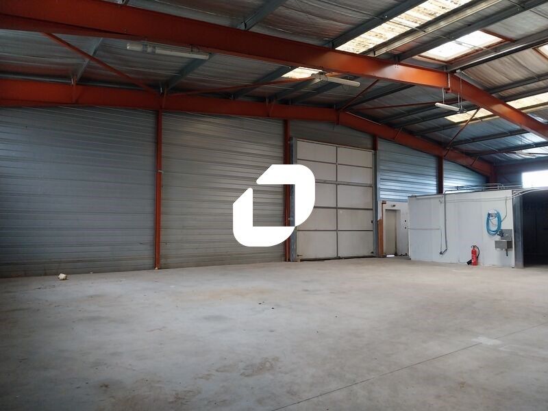 Sur la commune de Portiragnes, en zone d'activité