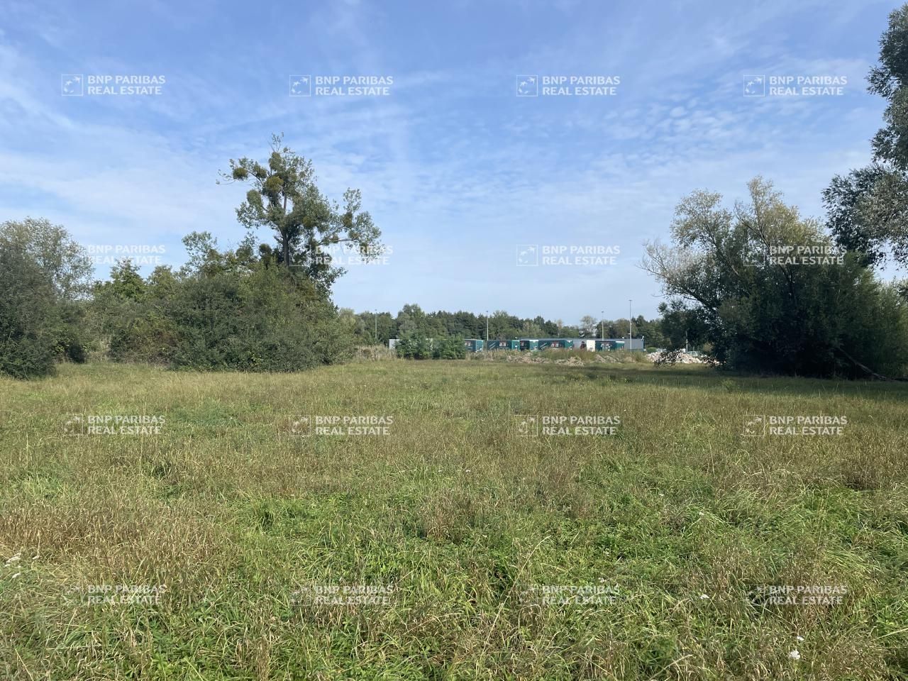 Vente Terrains 8580 m² non divisibles 67490 Dettwiller