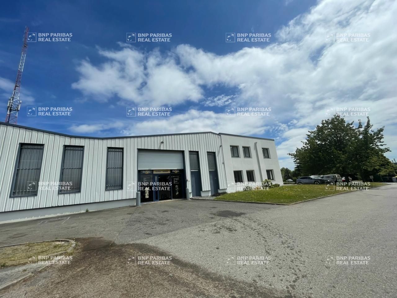 Vente Activité 1239.44 m² non divisibles 35510 Cesson-sevigne