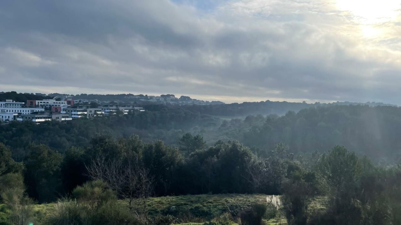 Vente Bureaux 1655.75 m² divisibles 06410 Biot