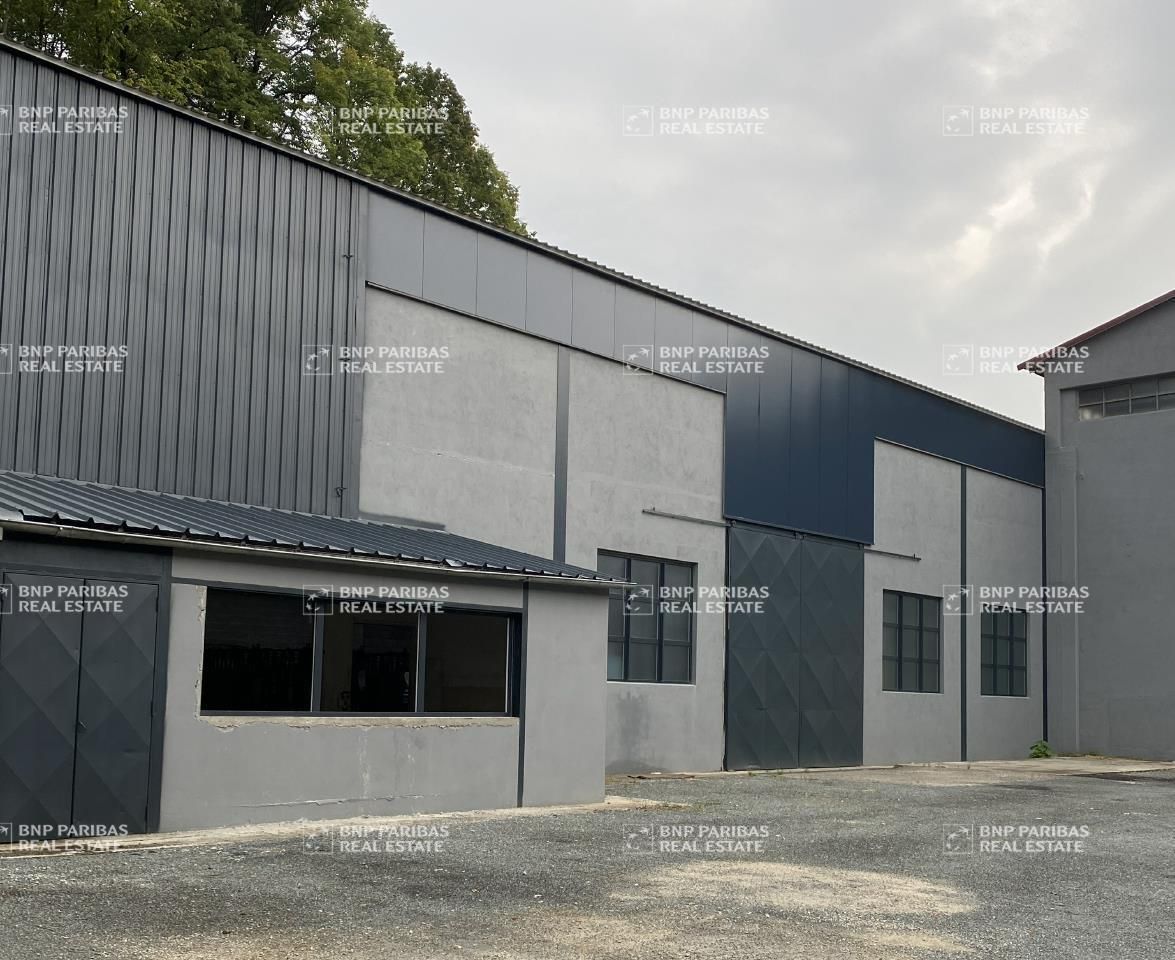 Location Activité 4474 m² divisibles 38210 Tullins
