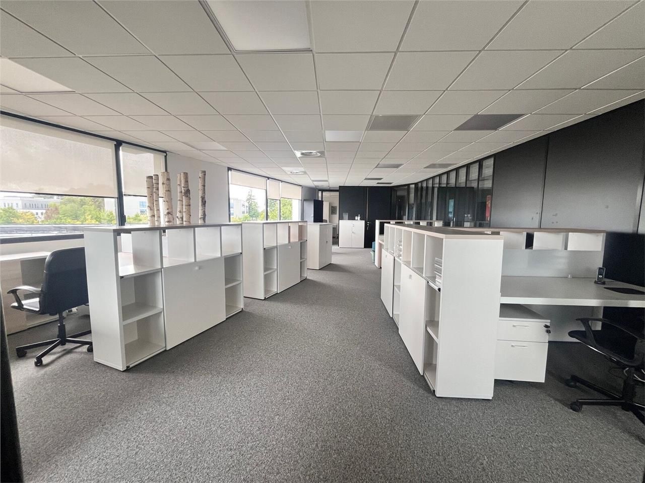 Découvrez une opportunité exceptionnelle avec ARN