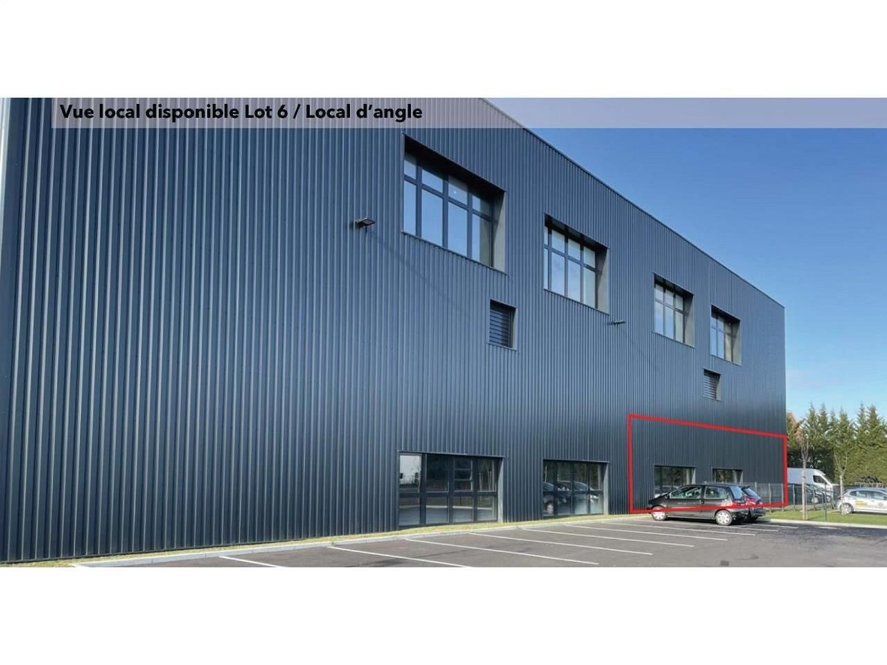 1249 m² pour ce activité en location à Fegersheim