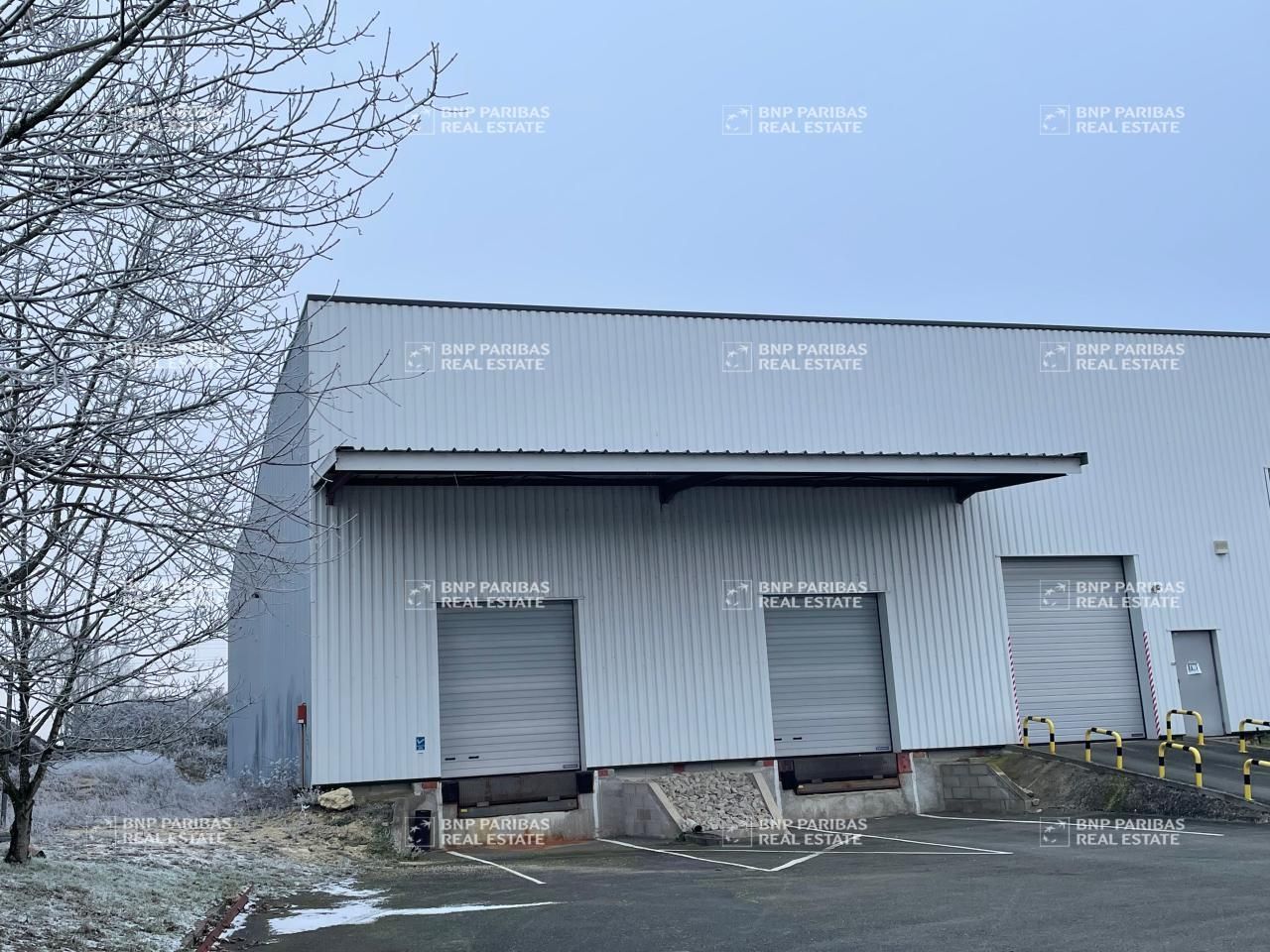 1240 m² pour ce activité en location à Saint ay