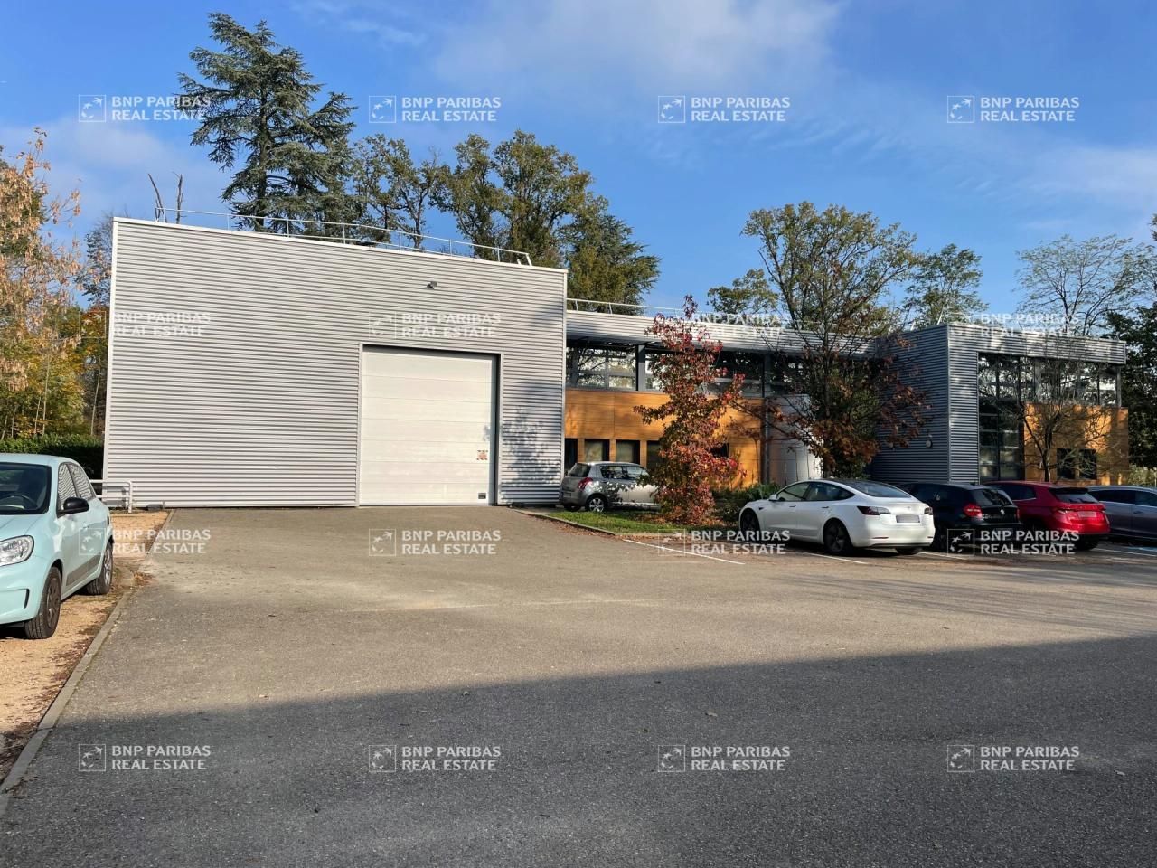 Location Activité 520 m² non divisibles 69130 Écully