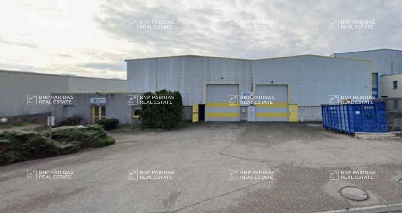 Location Activité 1910 m² non divisibles 01360 Béligneux