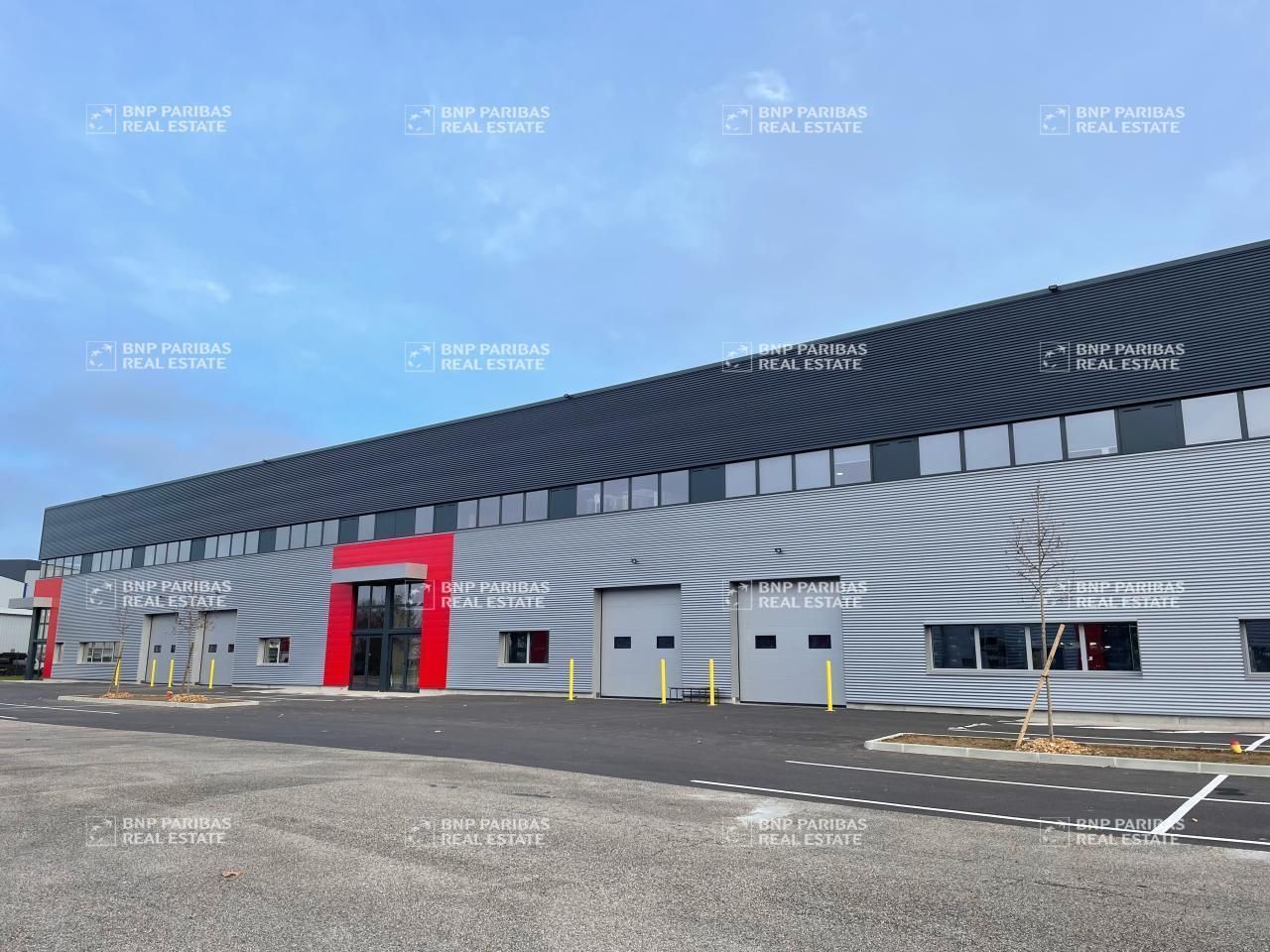 Location Activité 2809 m² divisibles 01120 Dagneux