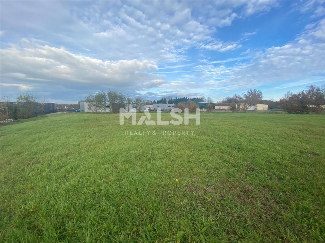 Entre Montmerle-sur-Saône et Guéreins à Montceaux