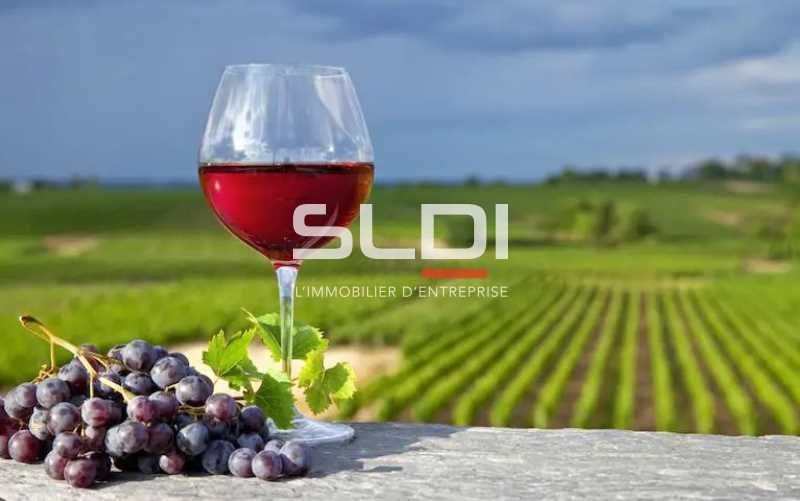 En plein coeur du Beaujolais, nous vous proposons