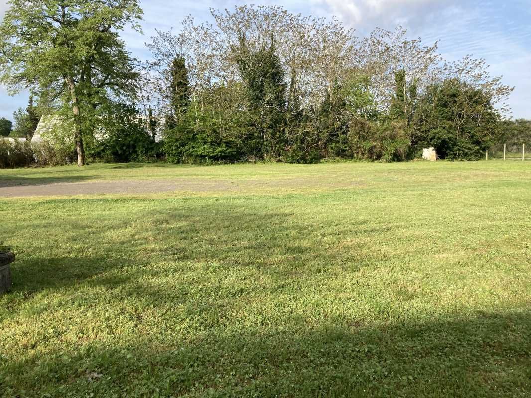 ARTHUR LOYD BORDEAUX vous propose à la vente un t