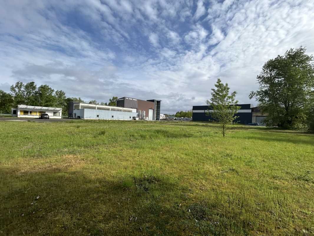 Arthur Loyd vous propose à la vente, en plein coe