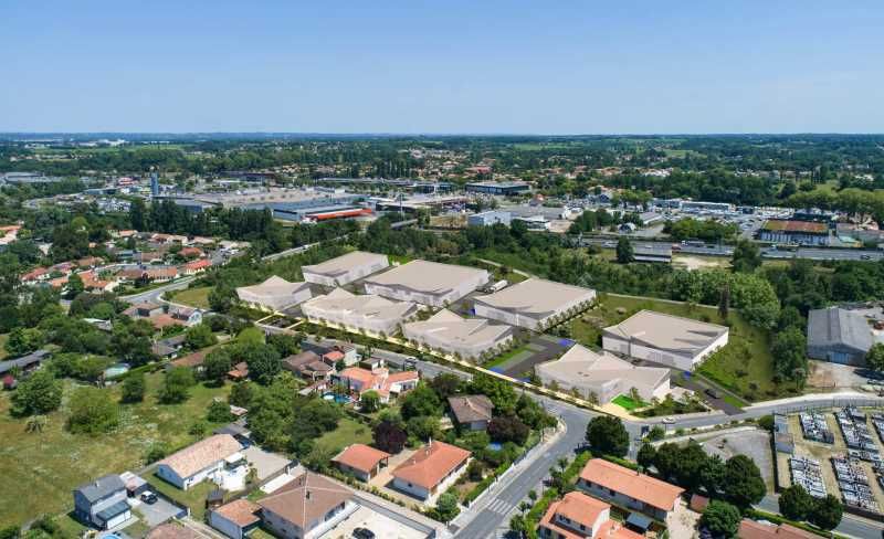 Arthur Loyd Bordeaux vous présente des cellules d