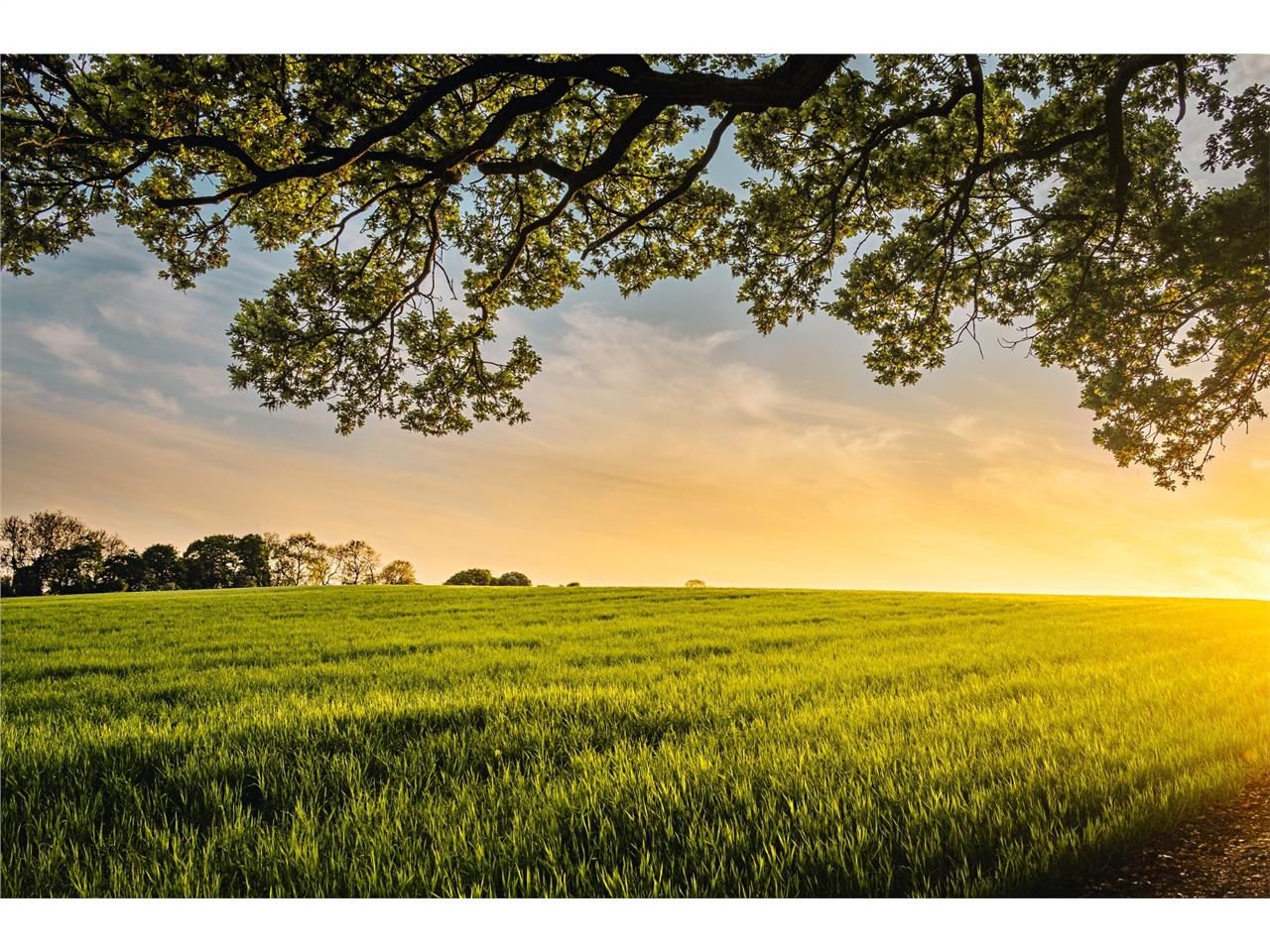 Arthur Loyd Bordeaux vous propose à la vente un t