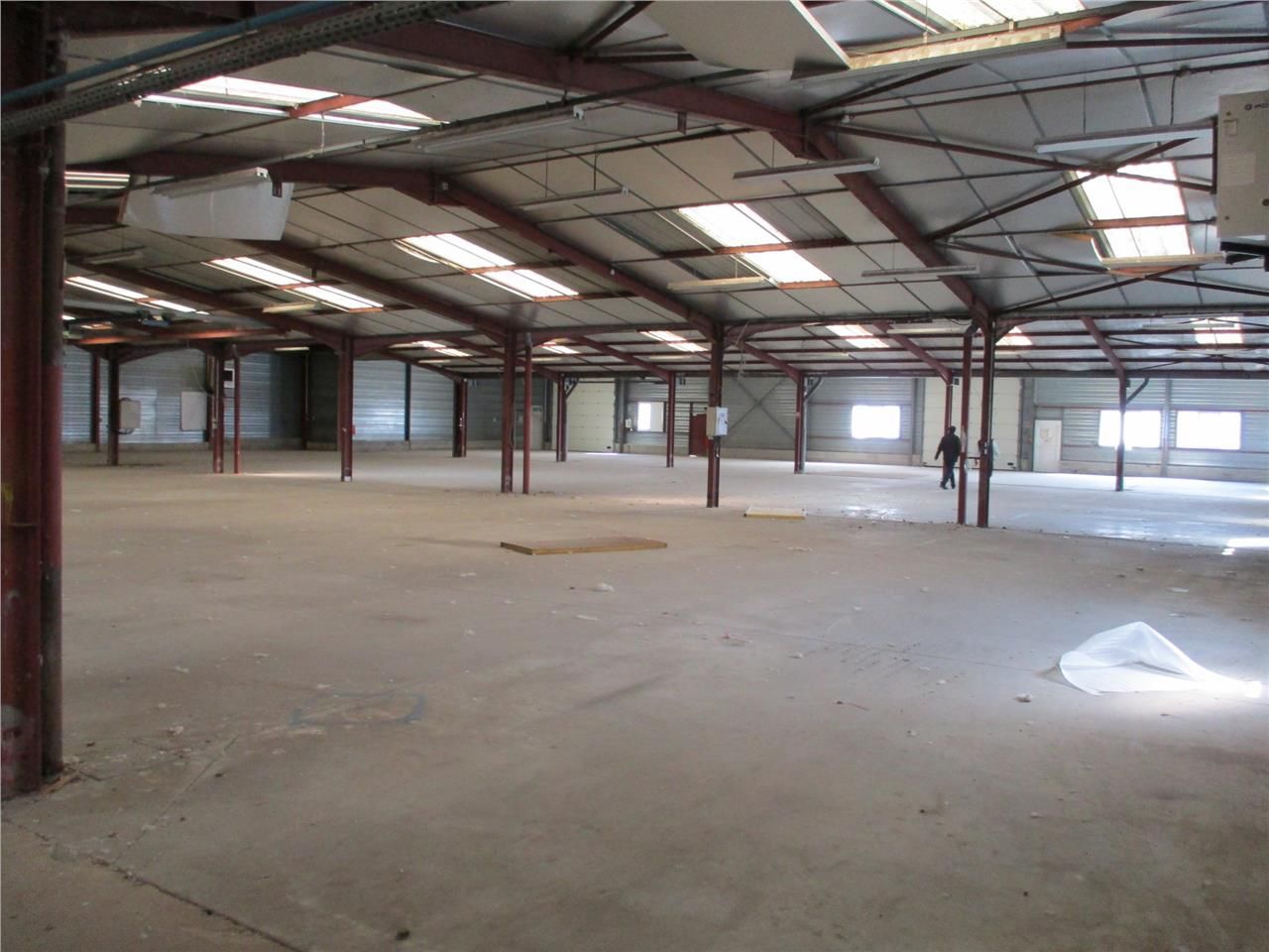 MACON SUD - CRECHES SUR SAONE Bâtiment industriel