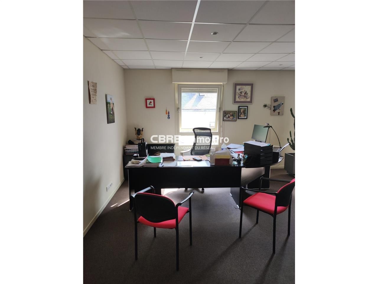 Découvrez un investissement sûr et prometteur à N