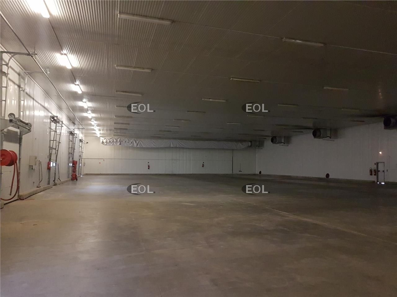 Entrepot frigorifique (froid positif)