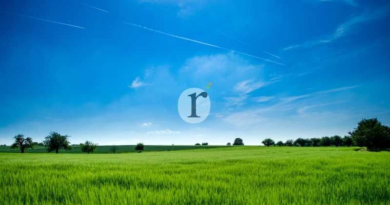 Aires d'Entreprises vous propose, à la vente, ce 