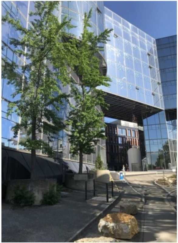 Au coeur du quartier d'affaires de Vaise, à proxi