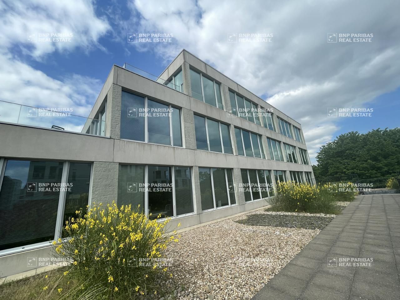 1825.24 m² pour ce bureaux en location à Metz