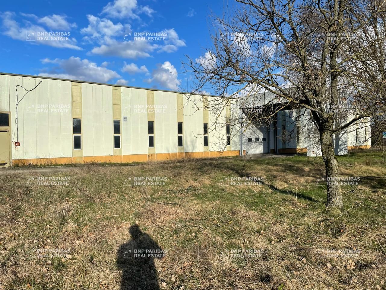 8453 m² pour ce activité en vente à Saint-quentin-fallavier