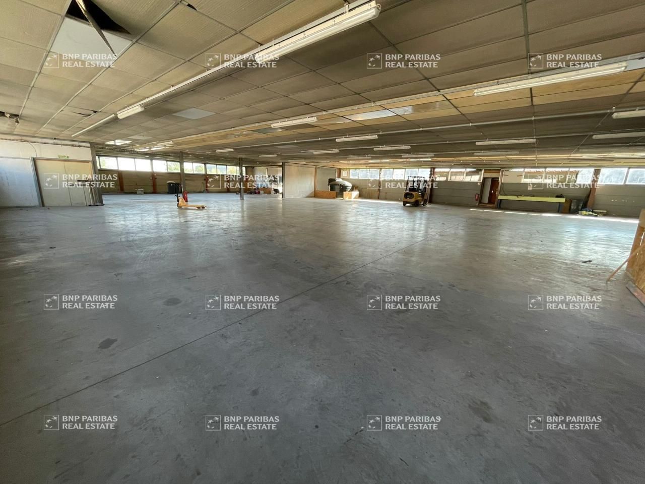 Vente Activité 1033 m² non divisibles 59211 Santes