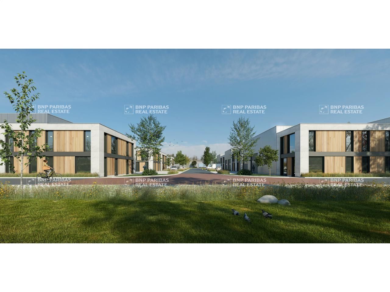 Vente Activité 5955 m² divisibles 62118 Monchy-le-preux