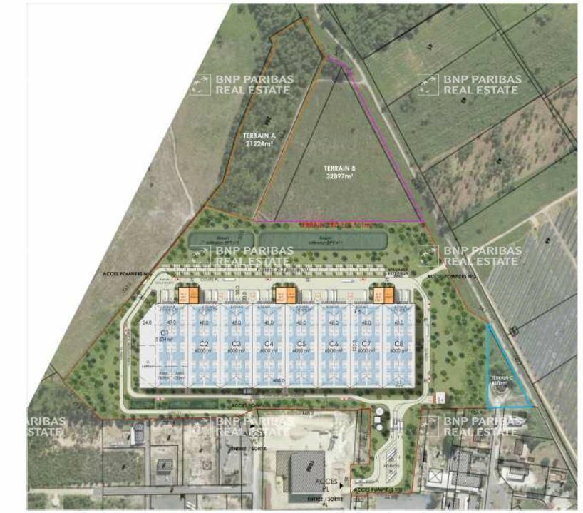 Location Entrepôts classe A 53795 m² divisibles 33830 Belin-béliet