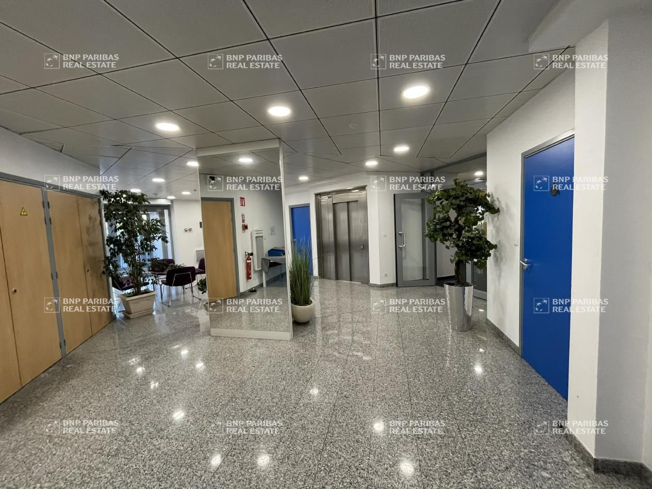 Location bureaux à Illkirch-graffenstaden 67400