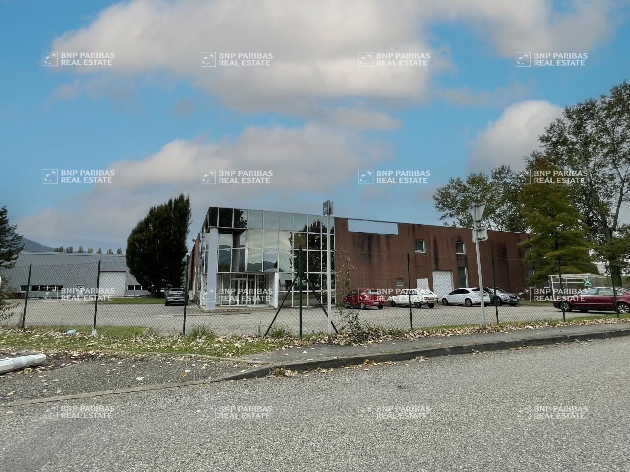 Vente Activité 4143 m² non divisibles 38430 Moirans