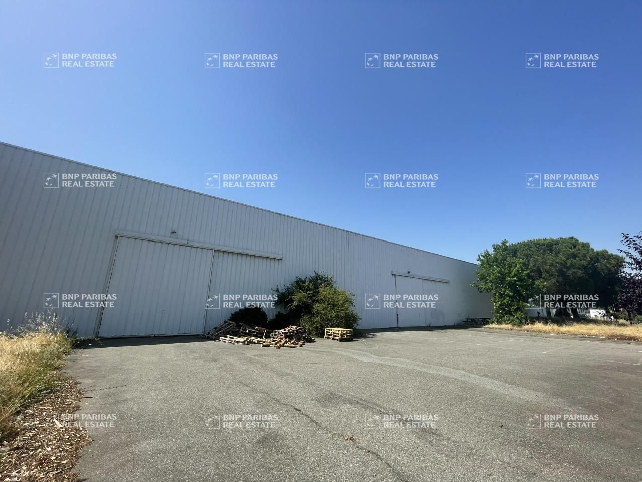 3360 m² pour ce activité en location à Portet-sur-garonne