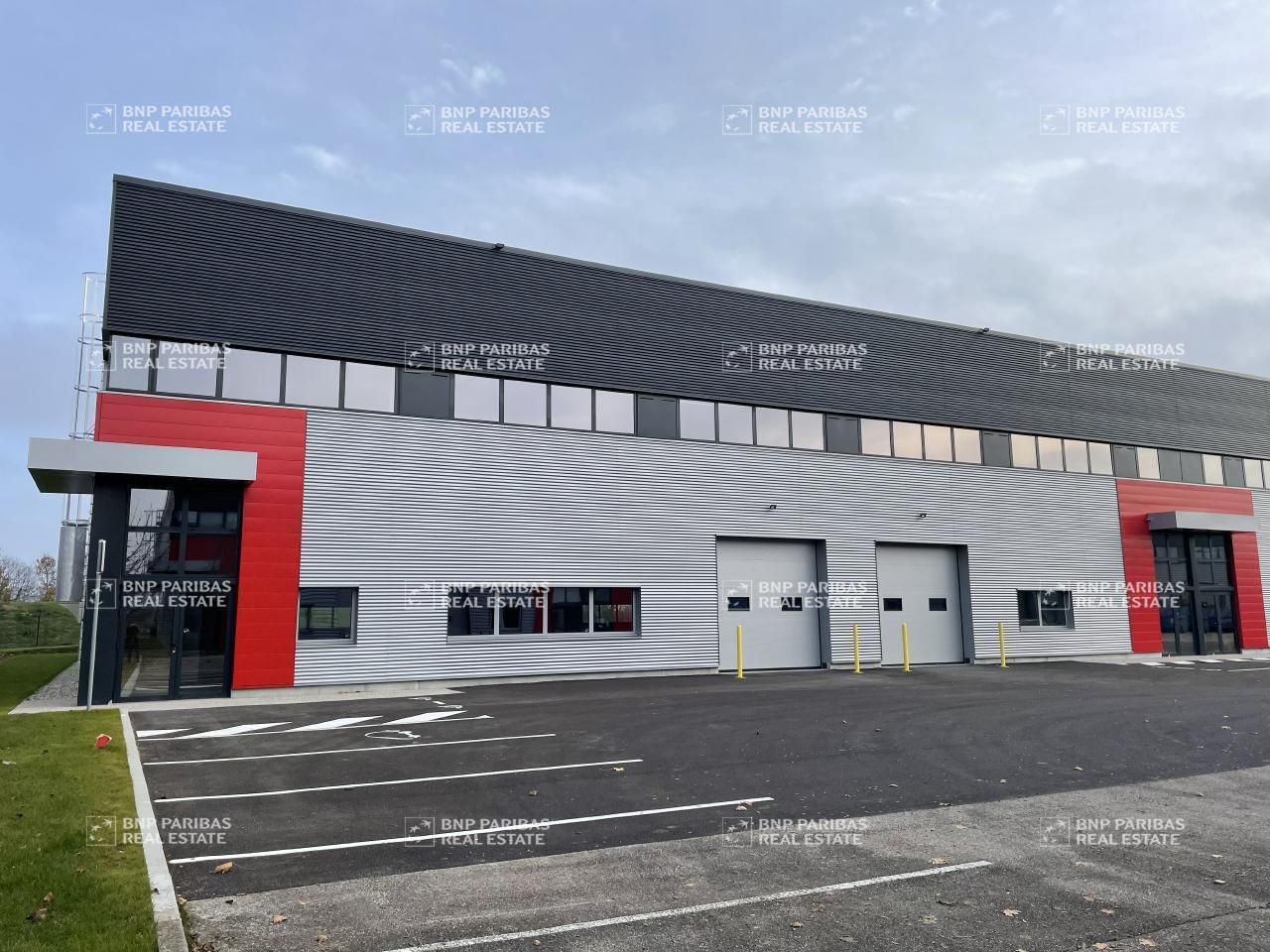 Location Activité 1816 m² divisibles 01120 Dagneux