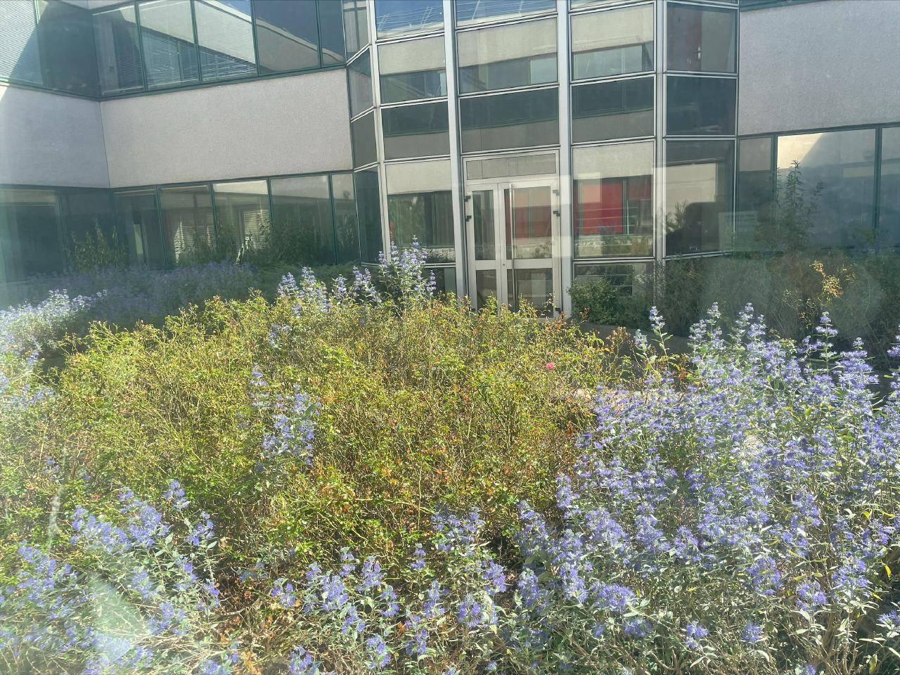 Location PME-PMI 2483 m² divisibles 92700 Colombes