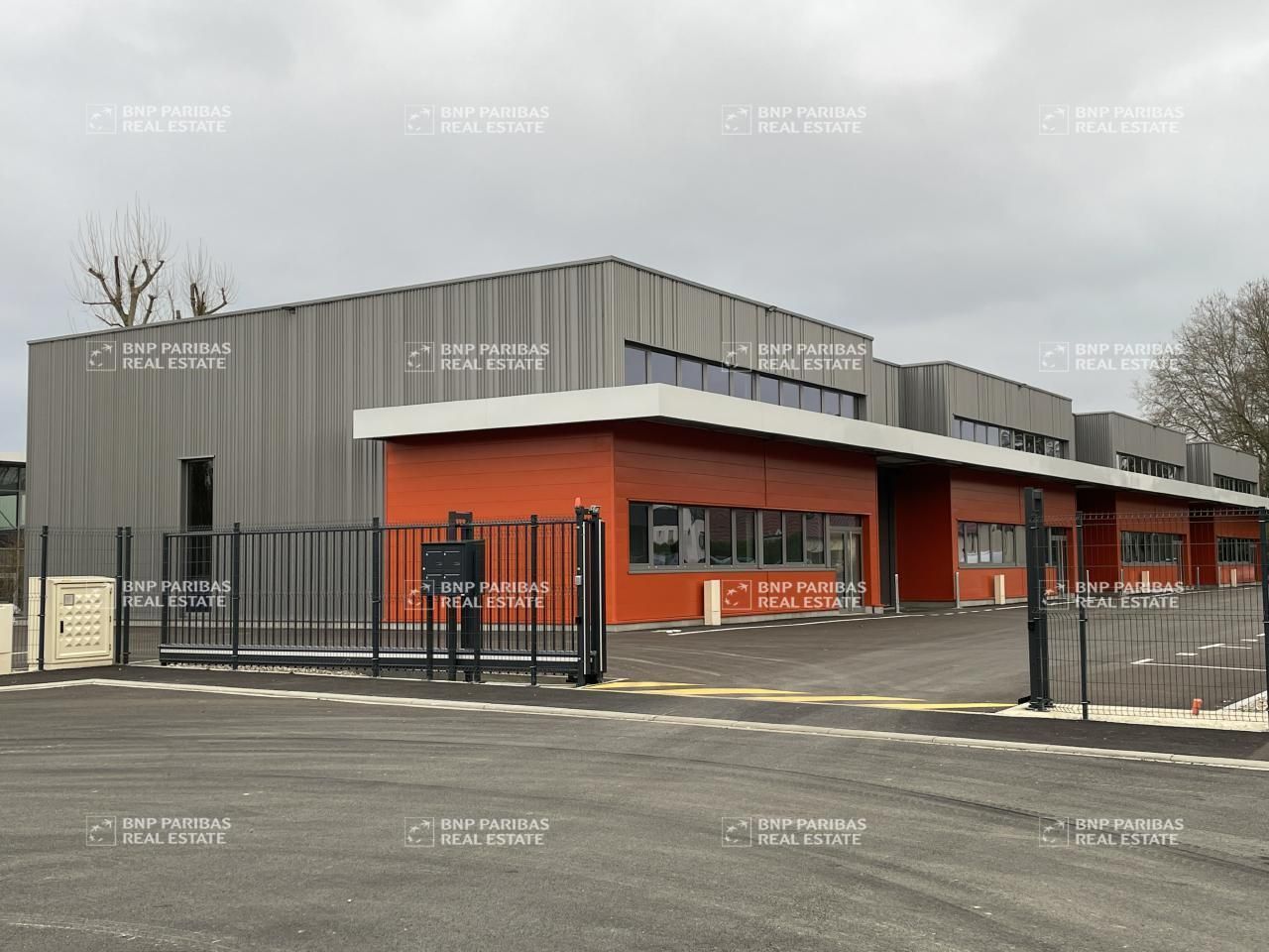 Location Activité 736 m² divisibles 67114 Eschau