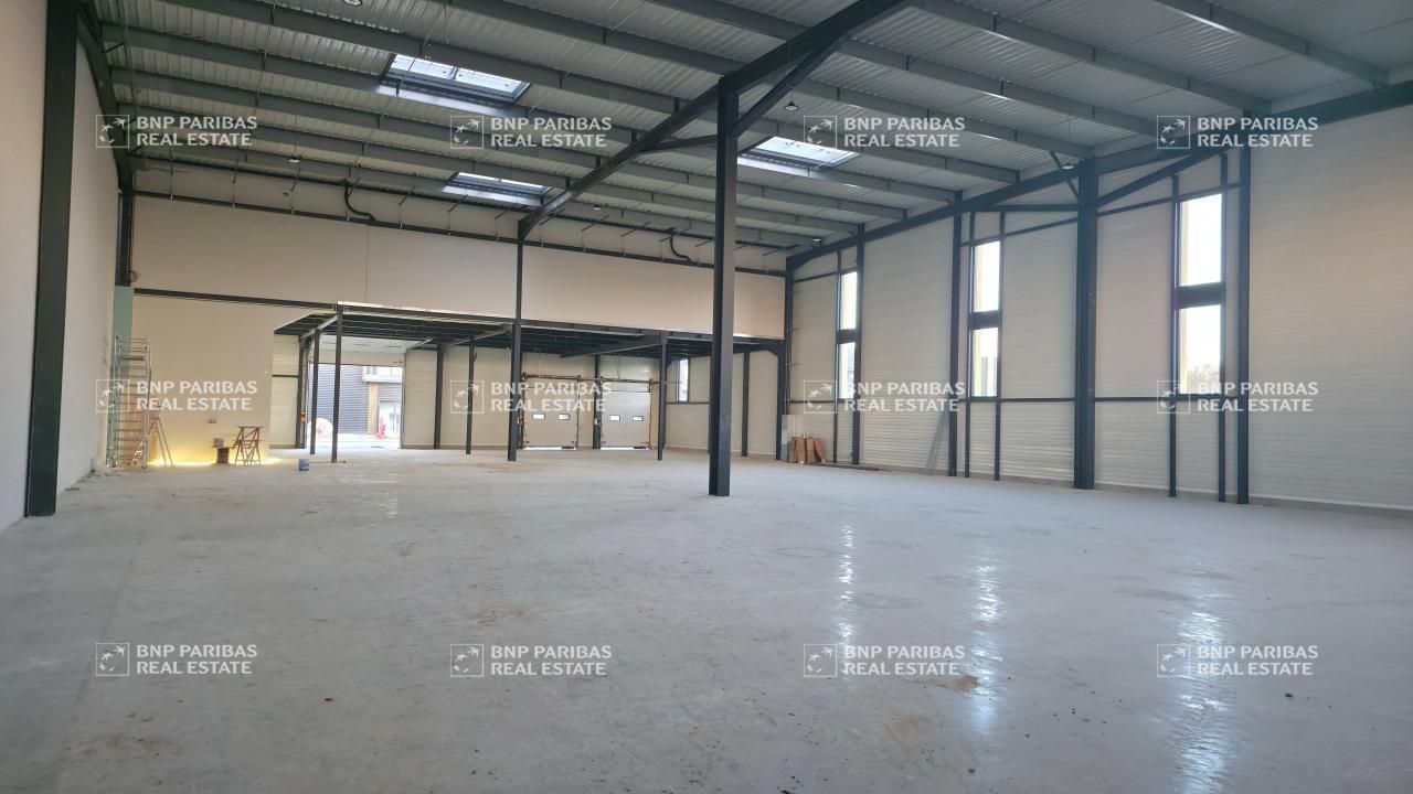 4959.98 m² pour ce pme-pmi en location à La queue-en-brie
