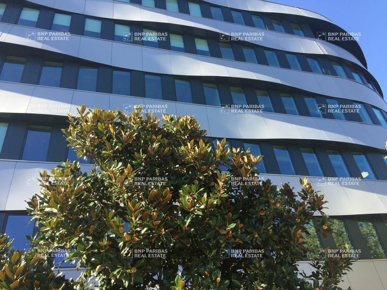 1023 m² pour ce bureaux en location à Lyon