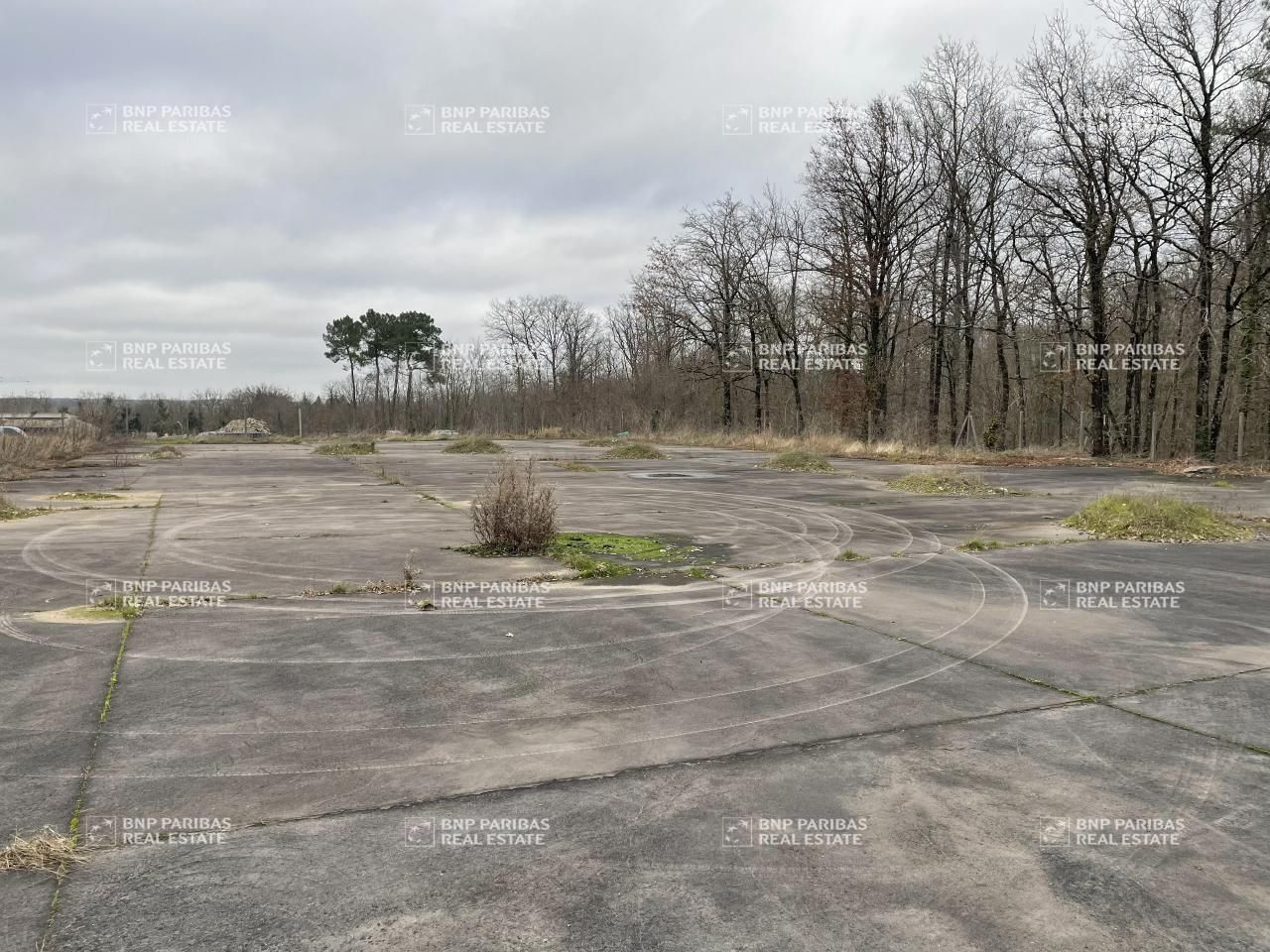 350 m² pour ce activité en vente à Monts