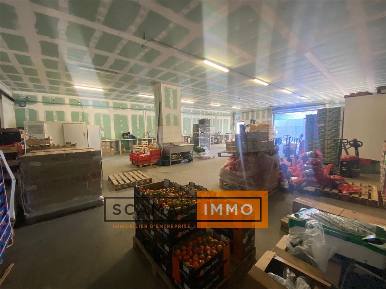 Location Local d'activités 400 m² non divisibles