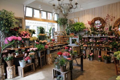 Location Local Commercial 540 m² non divisibles