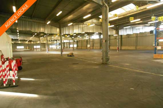 Location local d''activites 5000 m² non divisibles