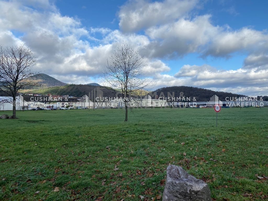 Vente terrain 30000 m² divisibles à partir de 10000 m²