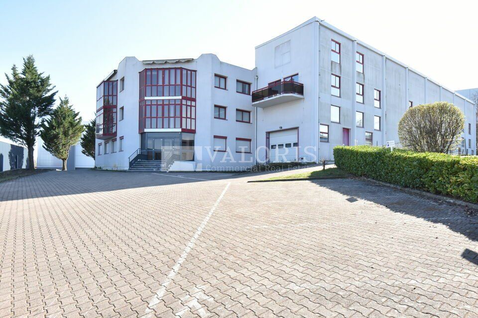 Location entrepot 3365 m² non divisibles