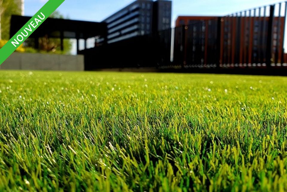 Location local d''activites 1000 m² non divisibles