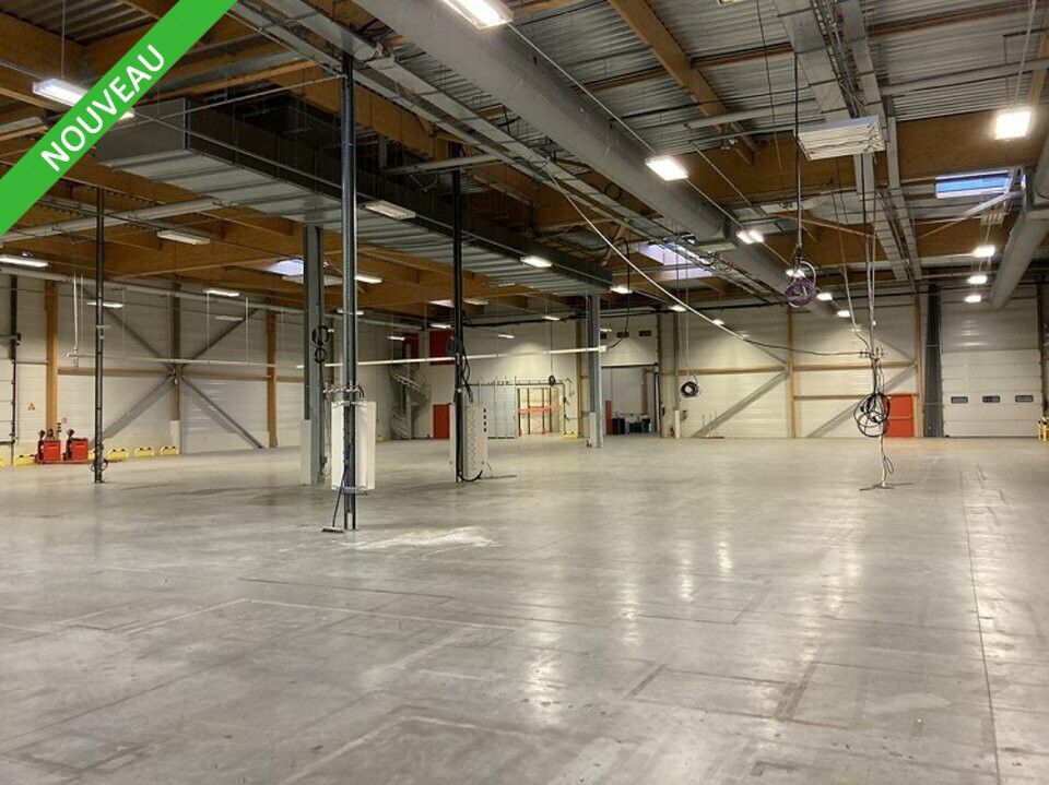 Vente entrepot 3645 m² non divisibles