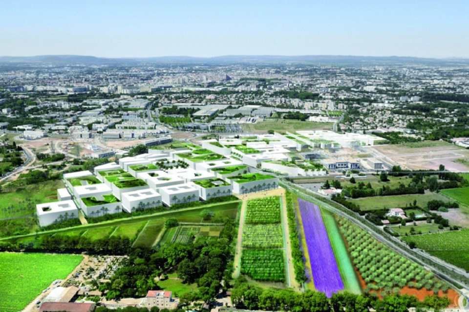 Vente terrain 15000 m² divisibles à partir de 1500 m²